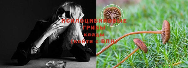 таблы Алзамай