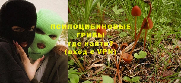таблы Алзамай